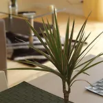 Bed & Breakfast La Torretta Chiaia 4*