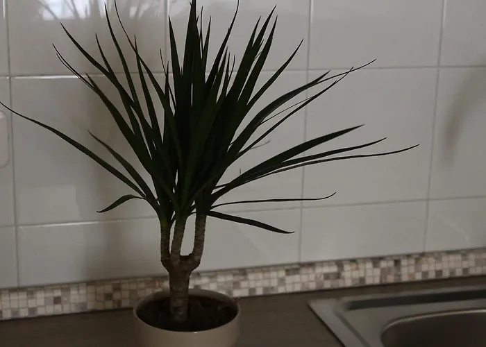 La Torretta Chiaia 4*